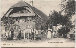 LANDWIRTSCHAFT/BAUERNHAUS 1910 mit Kutsche Bern