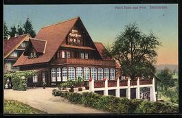AK Immensee, Hotel Eiche und Post, 1919