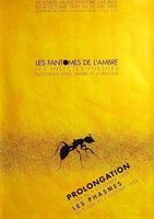 Les fantomes de l'ambre