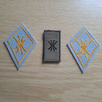 Uebermittlung Führungsunterstützungstruppen