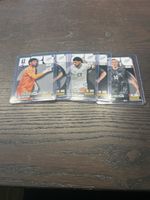 Panini Adrenalyn XL Neuseeland 17 Stück