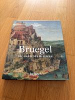 Bruegel: Die Hand des Meisters Kunsthistorisches Museum Wien