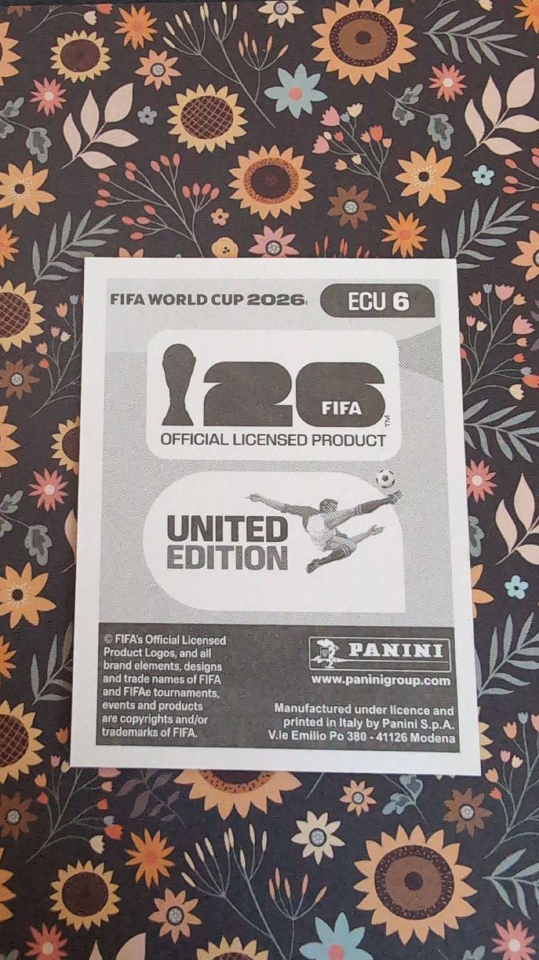 Panini Cartes à collectionner: ECU 6 - PANINI - FIFA WM 2026 – Neuf (Voir description) à Bauma par tobiaskl 1