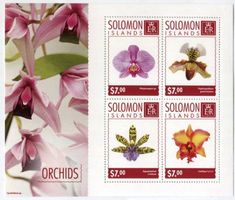 Block "Orchideen". Salomonen.