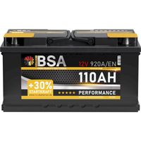 BSA Performance Autobatterie 110AH 12V
