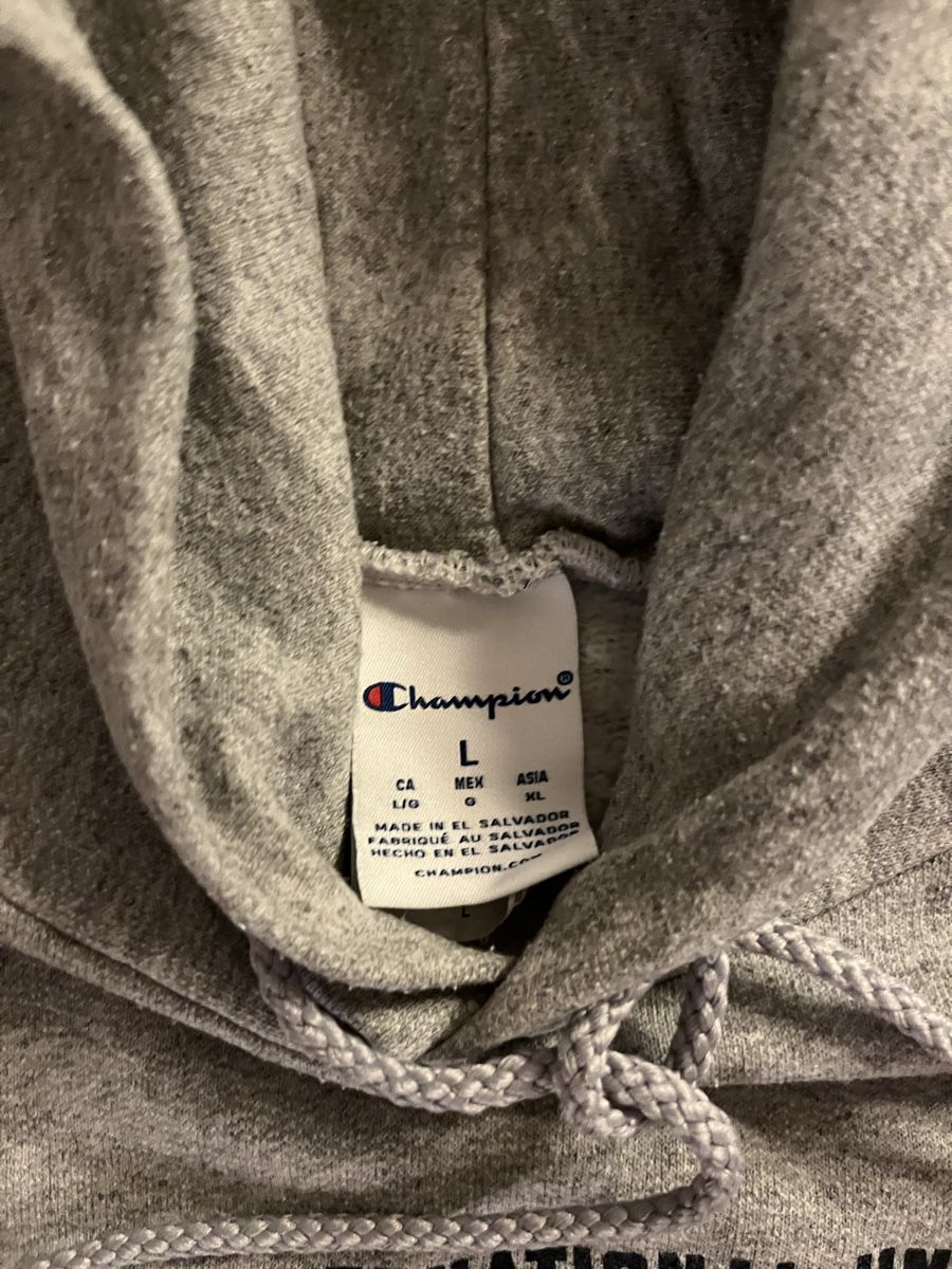Champion Maglioni & Felpe: FIU Hoodie – Usato da Köniz venduto da jan_xzq9 2
