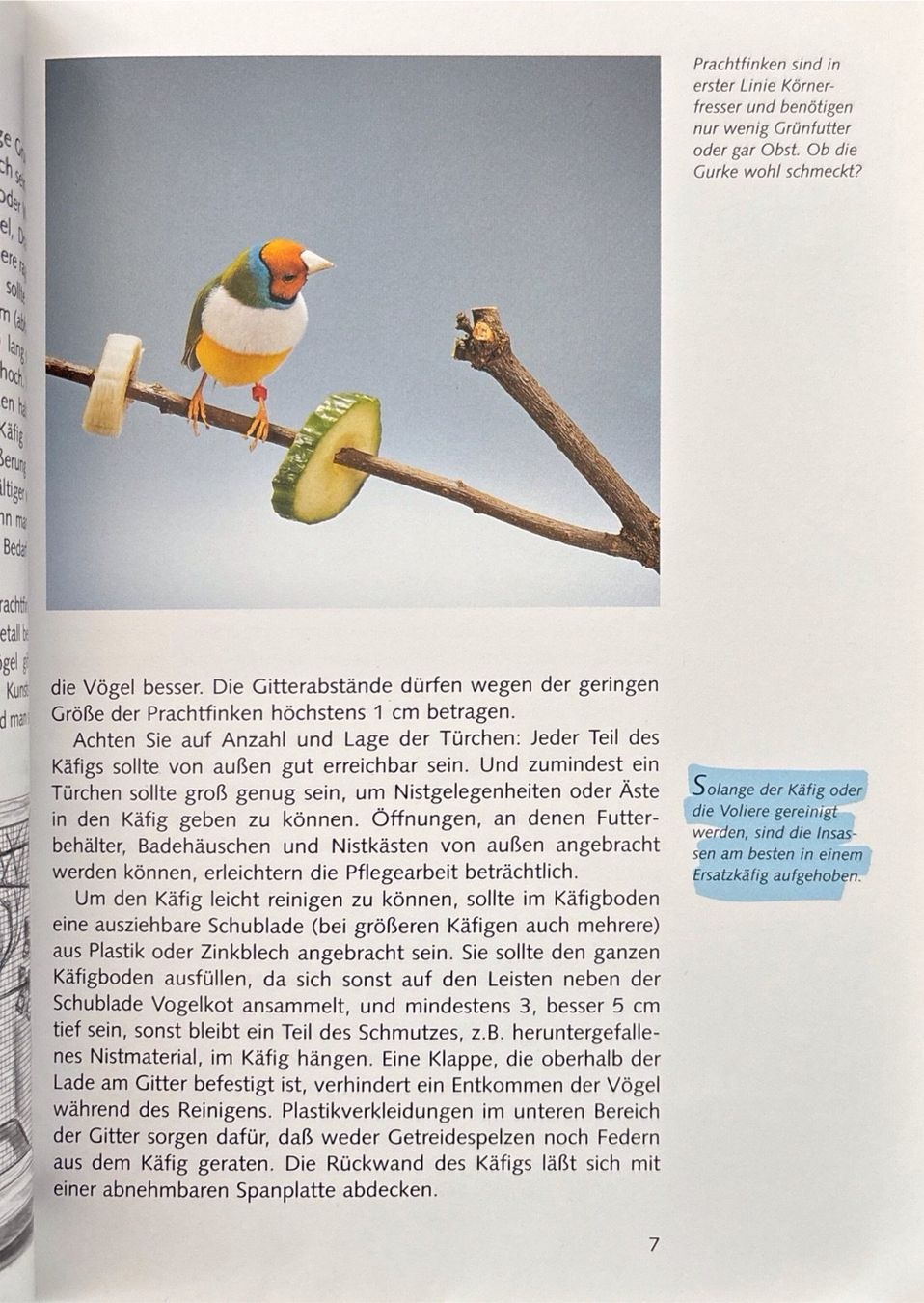 Libri: Prachtfinken – Nuovo (secondo la descrizione) da Sarnen venduto da Livres 4