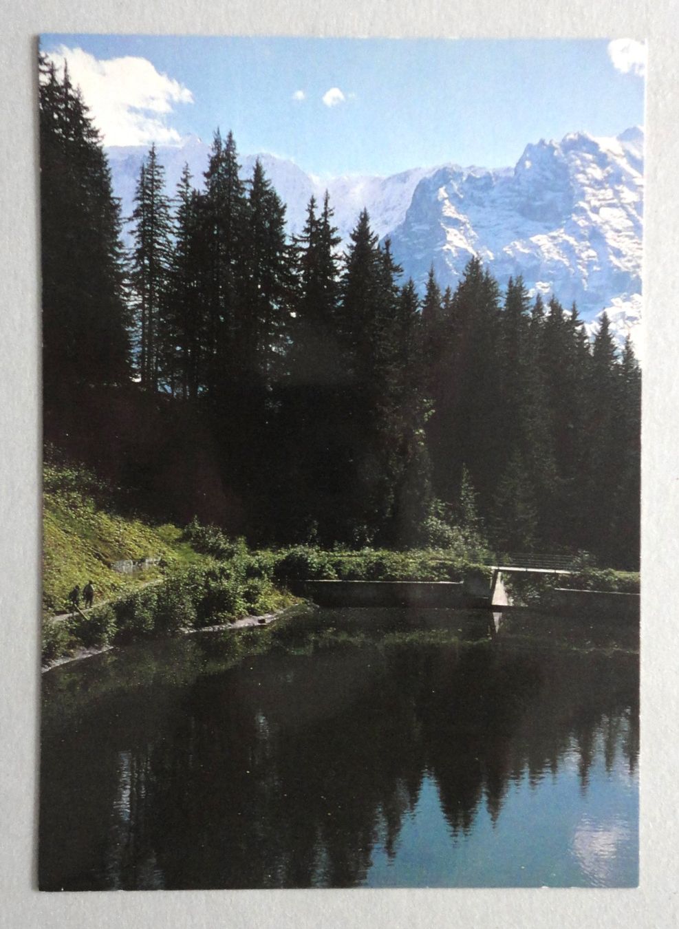 Cartoline postali: Grindelwald, "Bortseeli" – Usato da Fétigny venduto da Billy2miny