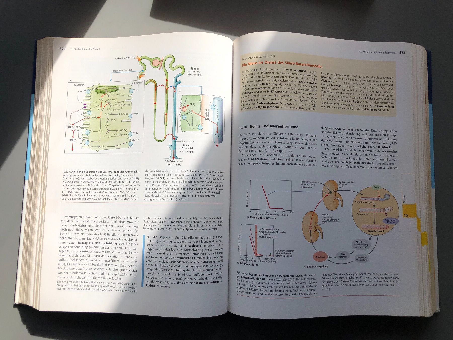 Bücher: Physiologie Thieme – Gebraucht aus Zürich von ehupp 3