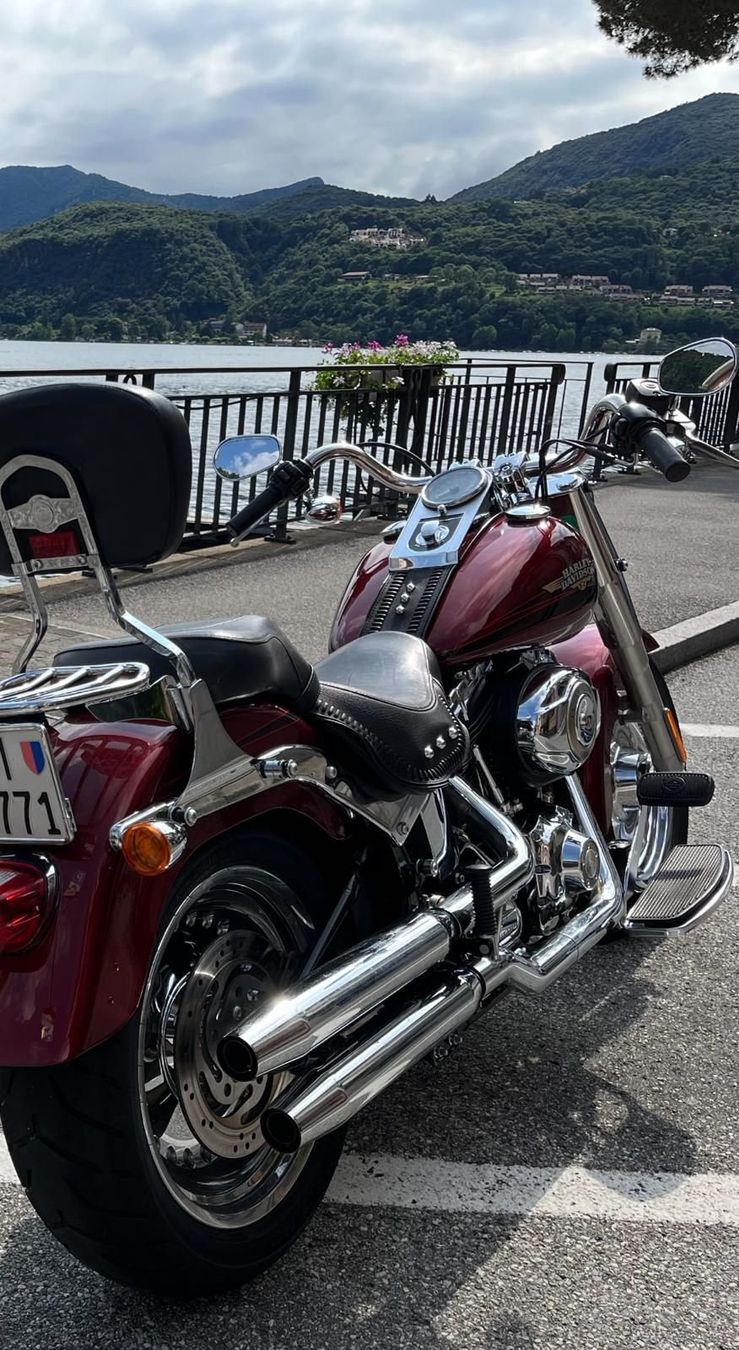 Chopper: Harley Davidson FLSTF 1584cc – Usato da Monteggio venduto da zx7r 1