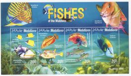 Block "Fische". Malediven.