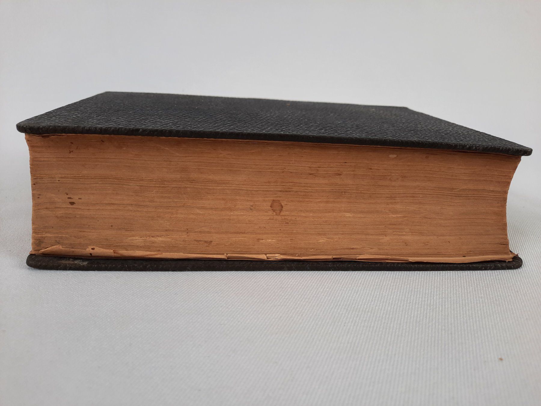 Libri: Die Bibel von 1878 – Usato da Beinwil am See venduto da Restwert_Beinwil 7
