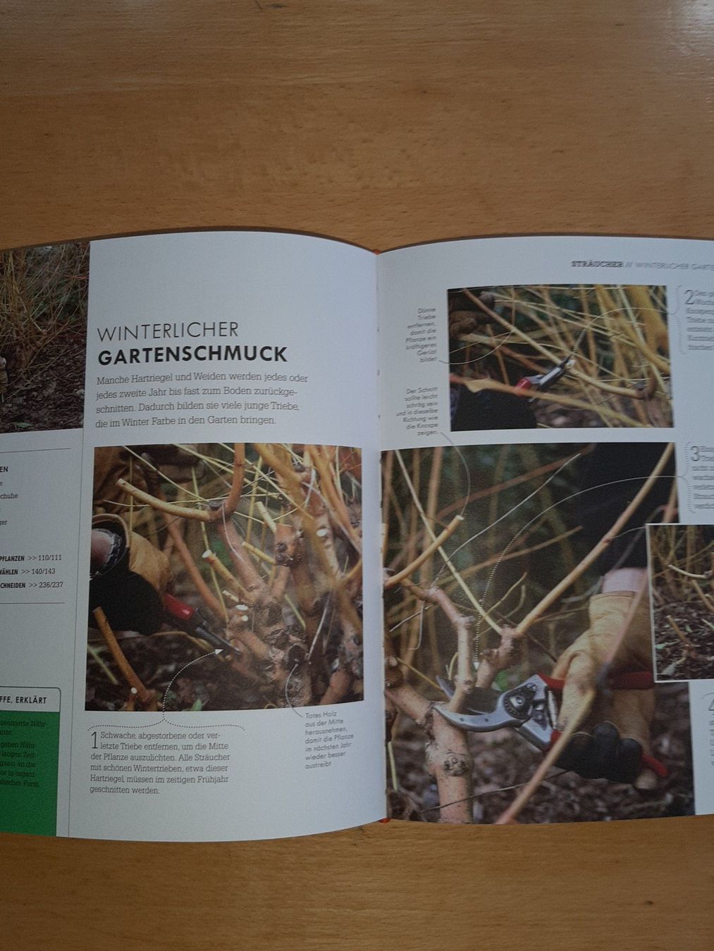 Bücher: So geht Garten: Das Gartenbuch für Einsteiger – Gebraucht aus Rotkreuz von nigal 9