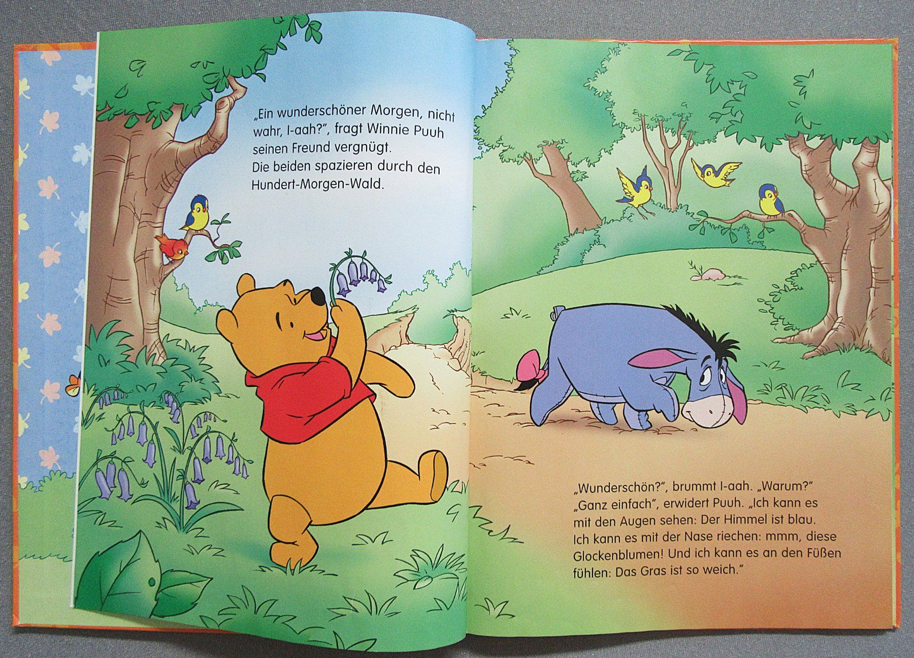 Libri: Winnie Puuh - Ein wunderschöner Tag – Usato da Auenstein venduto da Padabimbim 1