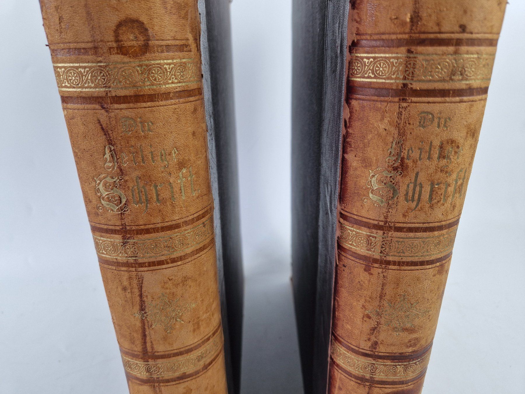 Livres: Die Bibel: Altes & Neues Testament – D'occasion à Muhen par Restwert_Muhen 2