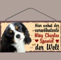 🔥 KING CHARLES SPANIEL Hunde Holzschild 🤎 12x25cm OVP 🔥