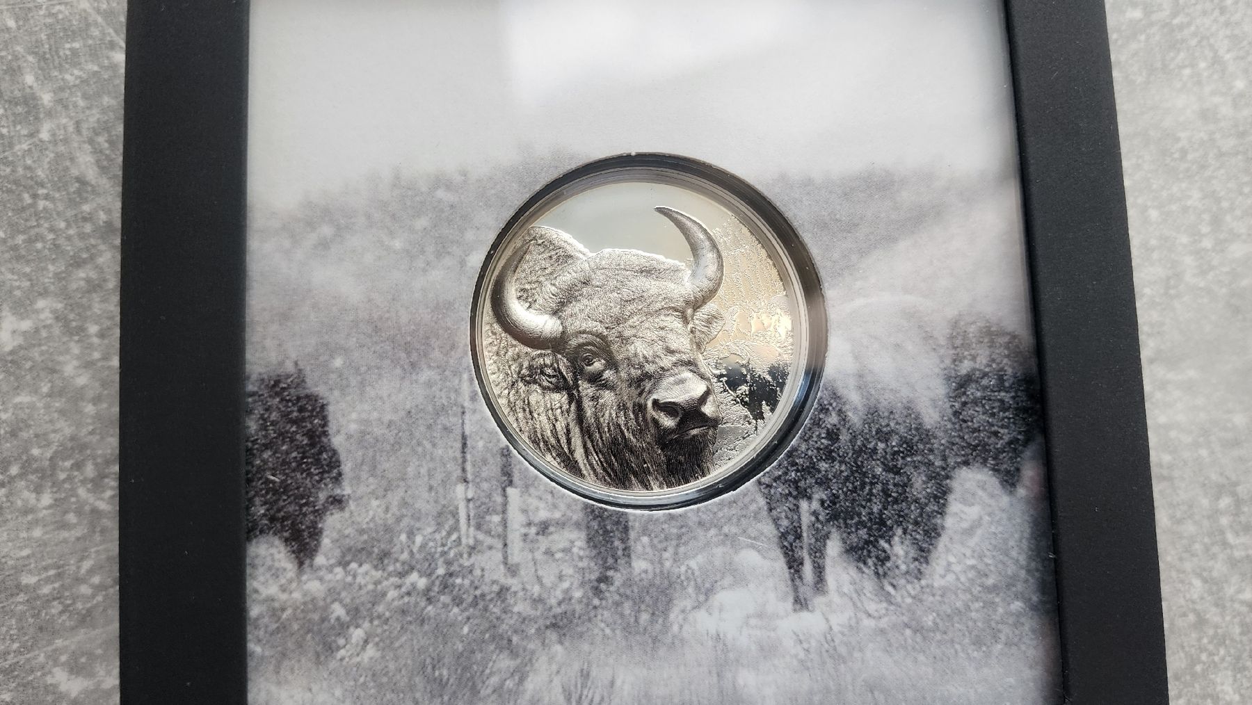 Tutti le monete: Mongolia Buffalo 2025 Proof 1 oz Silber Togrog – Nuovo e nell'imballaggio originale da Petit-Lancy venduto da SilverCoinCoin 3