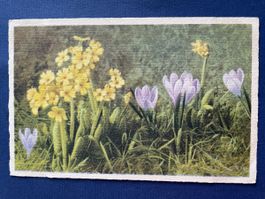 Frühlings-Postkarte mit Krokussen & Primeln 1943