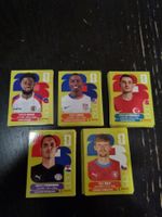 Panini WM 2026 Sticker 100 Stück diverse Länder