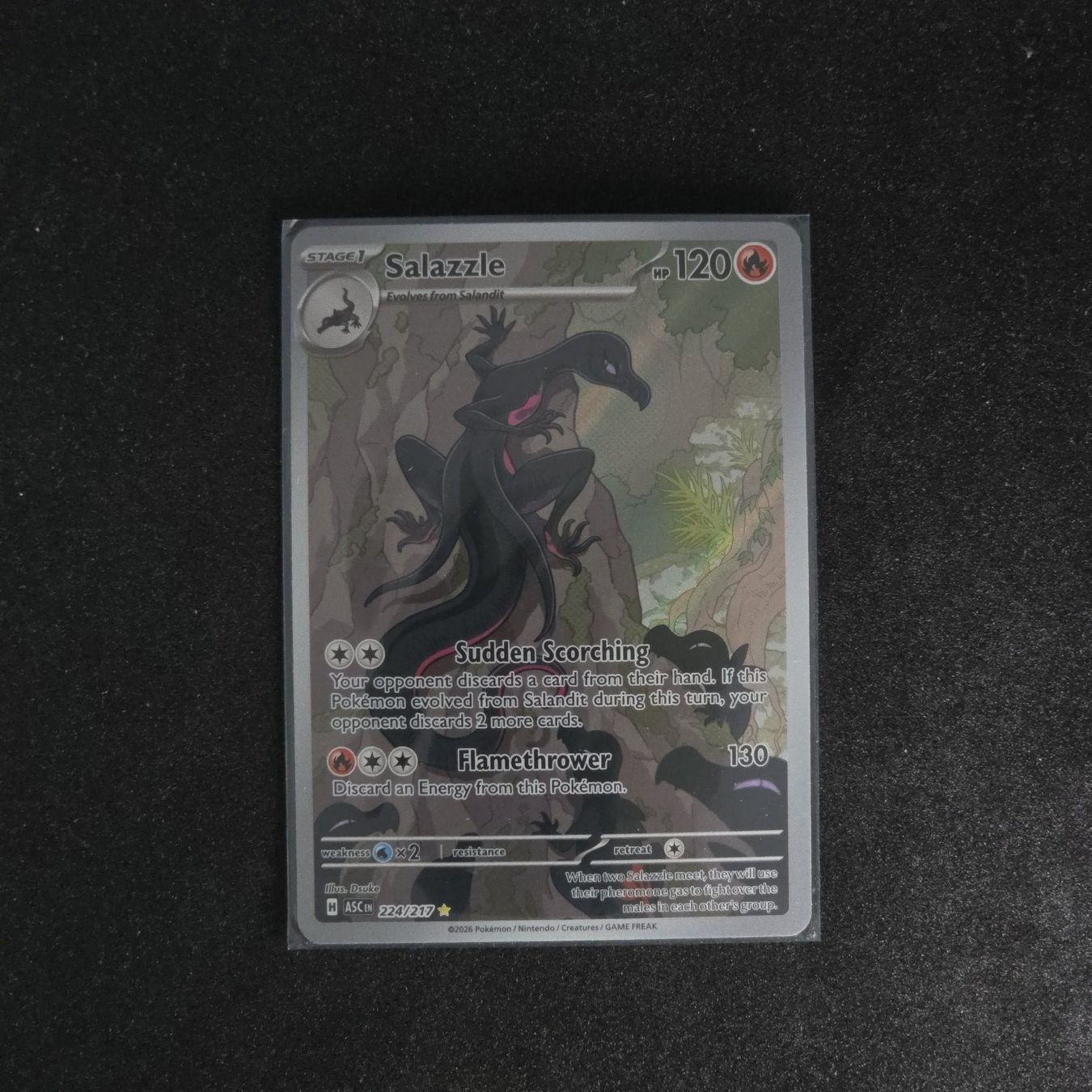 Pokémon Cartes à collectionner: Salazzle (ASC 224) – D'occasion à St. Gallen par CardZelo