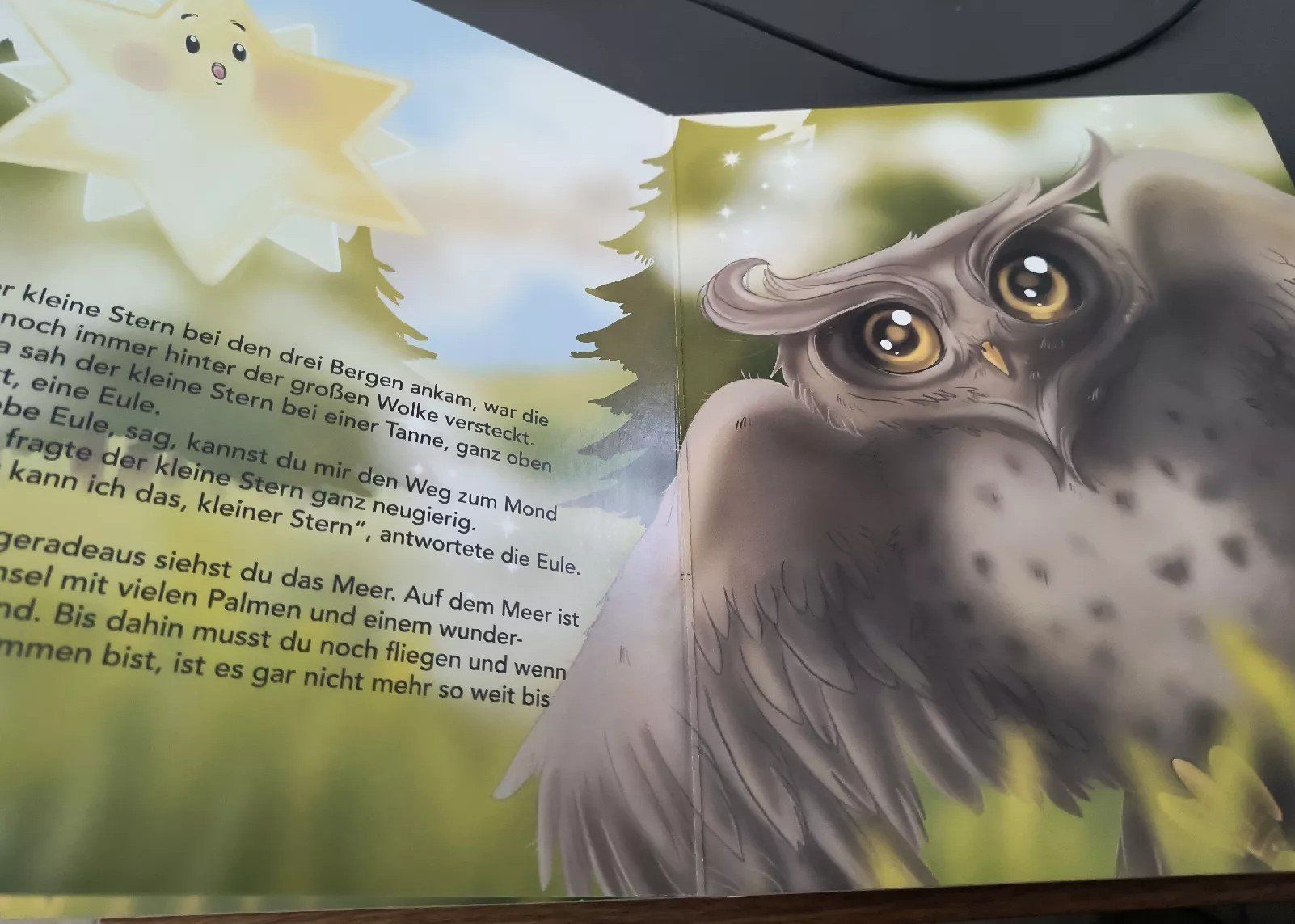 Libri: Der kleine Stern von Heidi Sutter – Usato da Oberweningen venduto da Bumblebee2 2