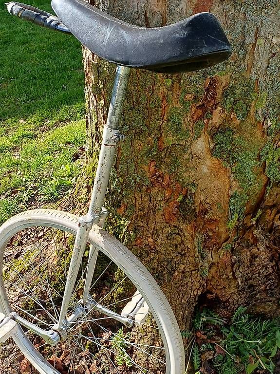 Biciclette: Imholz Einrad – Usato da Köniz venduto da Hobbes1 1
