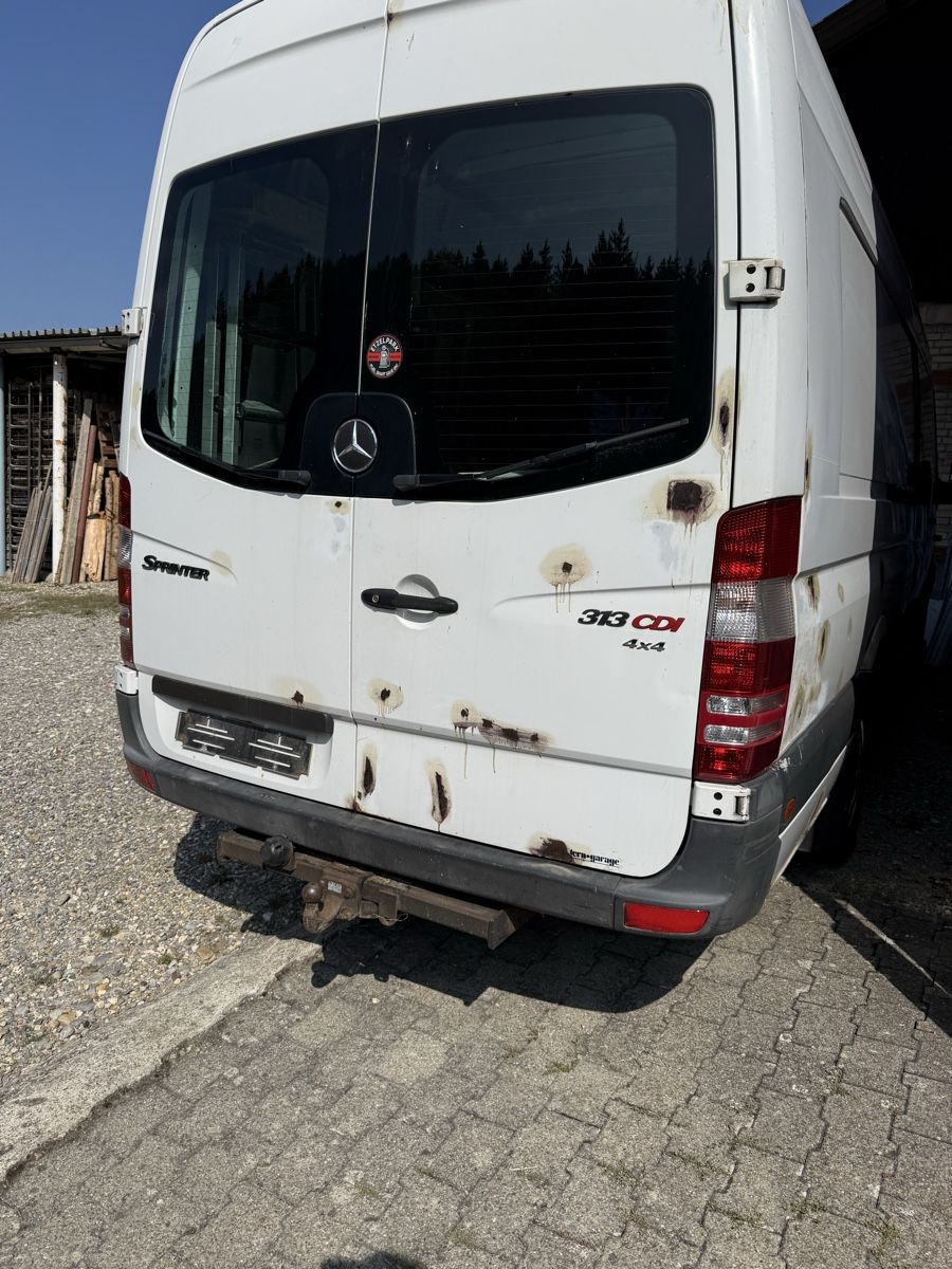 Mercedes-Benz Veicoli commerciali: Mercedes Sprinter-313 4x4  – Usato da Mörschwil venduto da Hilbilly 3