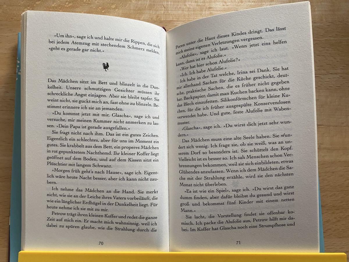 Libri: Baba Dunjas letzte Liebe - Alina Bronsky – Usato da Schwarzenburg venduto da Michellu 7