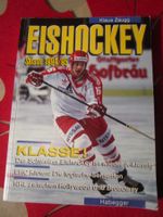 EISHOCKEY CH SAISON 1994/95 VON KLAUS ZAUGG NLA/B/1LIGA ETC