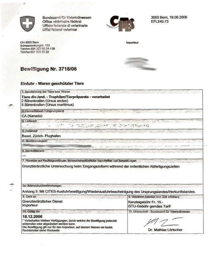 Il mondo degli animali: Echte Eisbär Bären Kralle - Rarität! – Nuovo (secondo la descrizione) da Thun venduto da Abalona3600 4