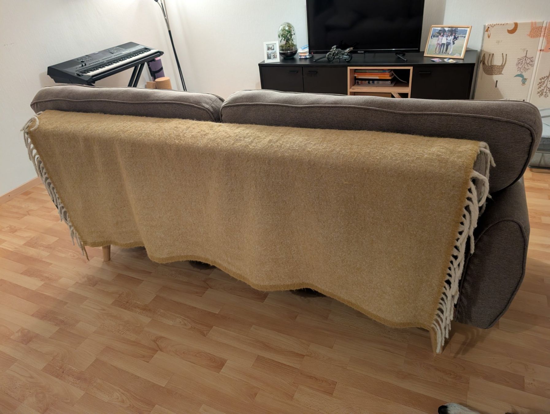 Divani: Bett sofa Braun – Nuovo (secondo la descrizione) da Nussbaumen AG venduto da jcg_7vh8 2