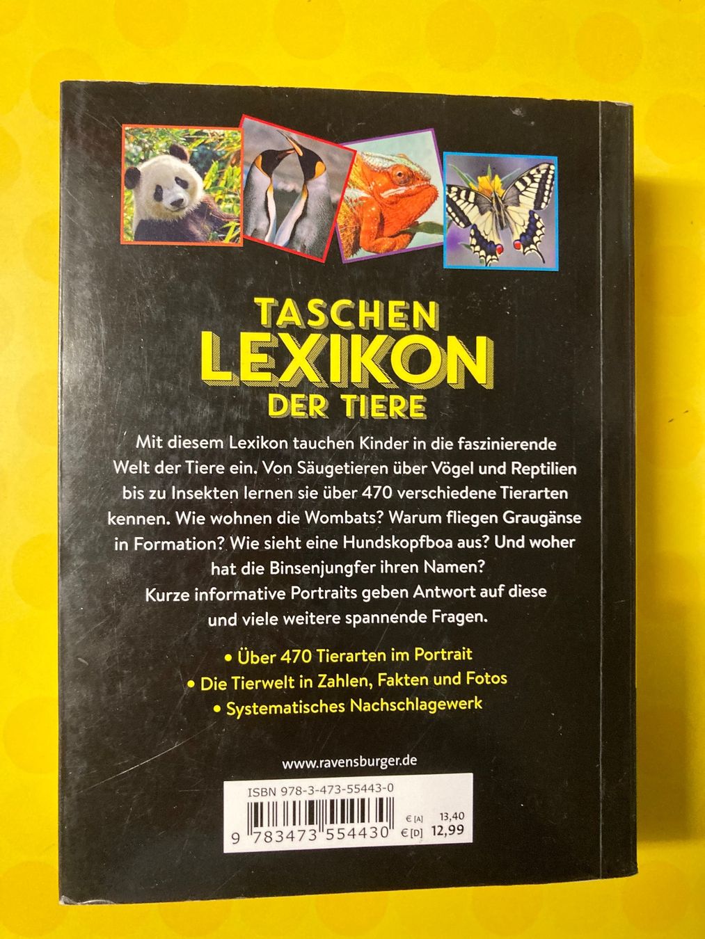 Libri: Taschenlexikon der Tiere – Usato da Basel venduto da AufeinenBlick 1