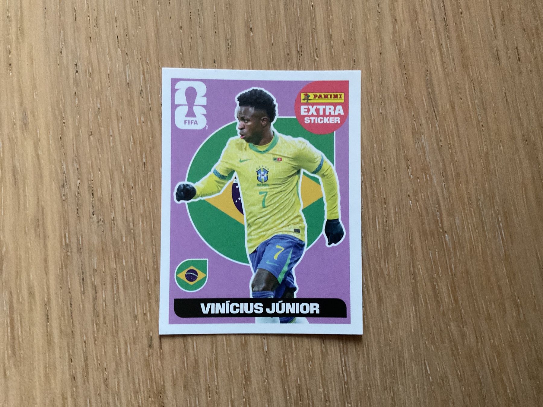 Panini Cartes à collectionner: Vini Regular panini – D'occasion à Zürich par lidia76
