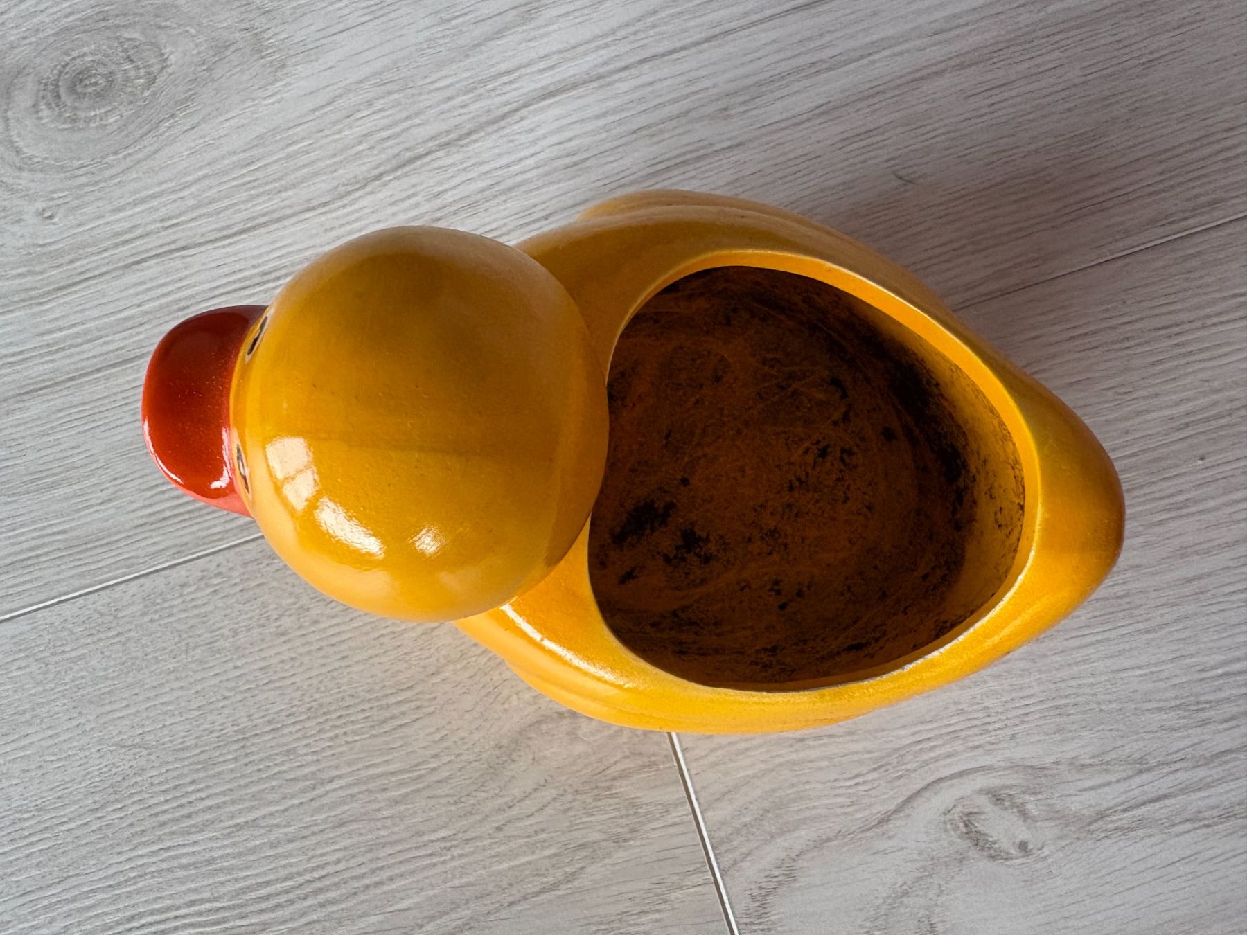 Pots de fleurs: Blumentopf Ente – D'occasion à Mühleberg par cupra80 2