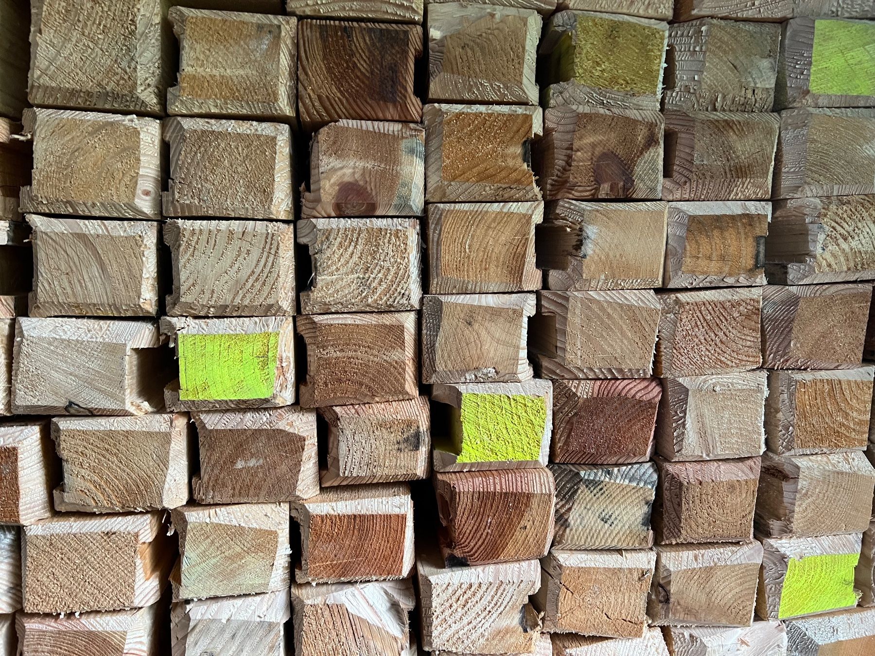 Altre attrezzature per stalle: Holzpfähle, Weidezaunpfähle – Nuovo (secondo la descrizione) da Goldiwil (Thun) venduto da Carlo77 2