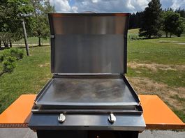 Plancha tout inox sur chariot