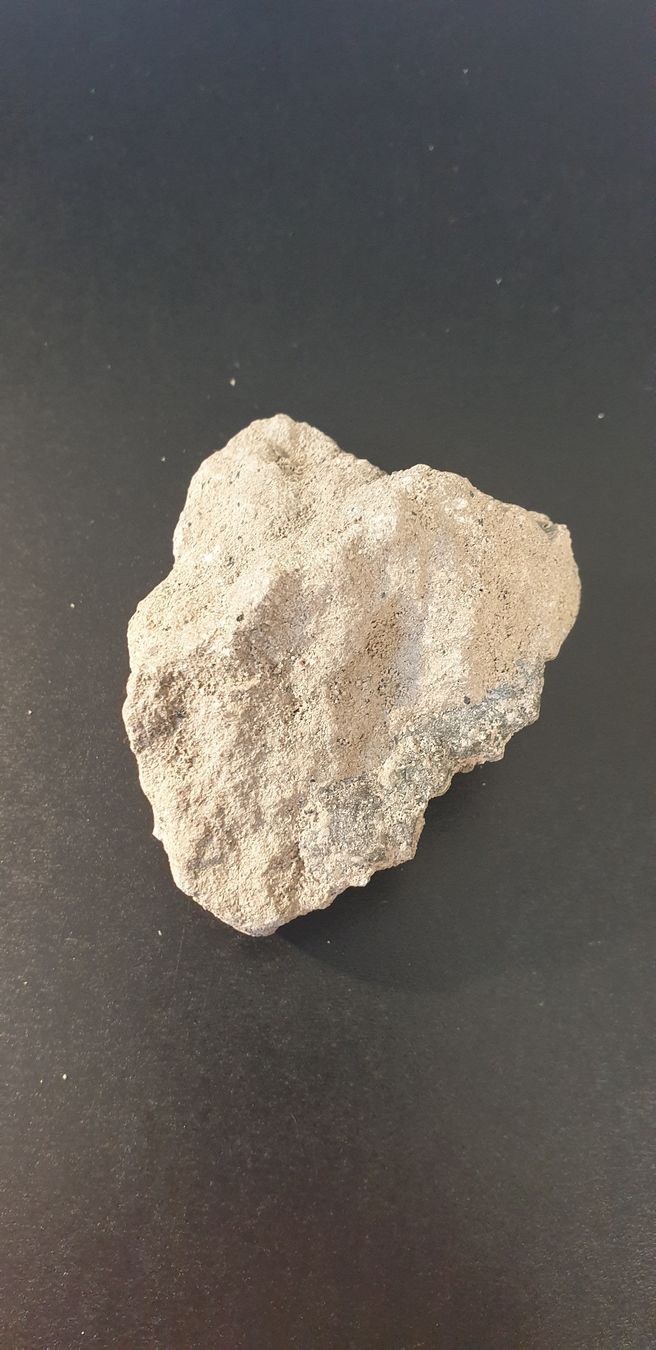 Fossili: Fossile dent de requin? – Usato da St-Sulpice VD venduto da Miwix 1