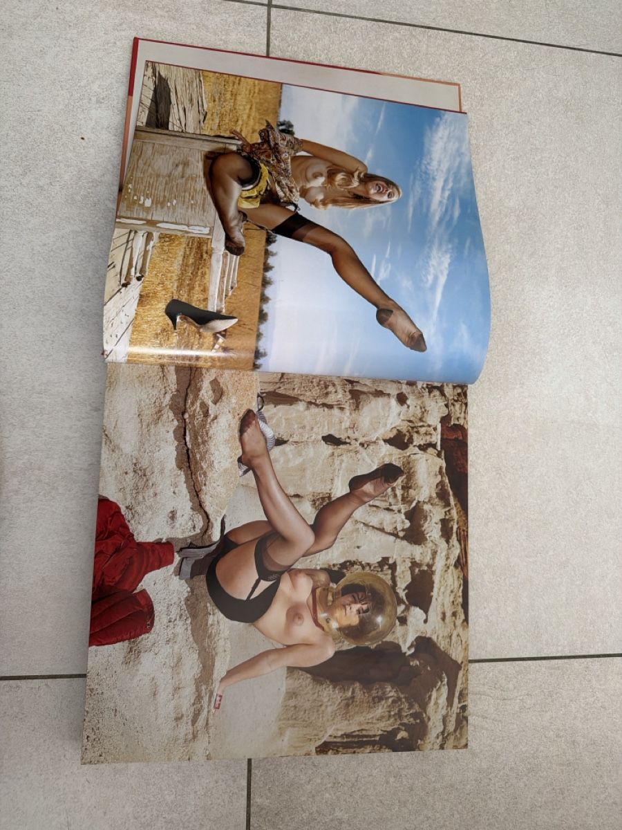 Bücher: Book " Pin-Ups" excellent condition – Gebraucht aus Martigny von Jacoosh1234 3