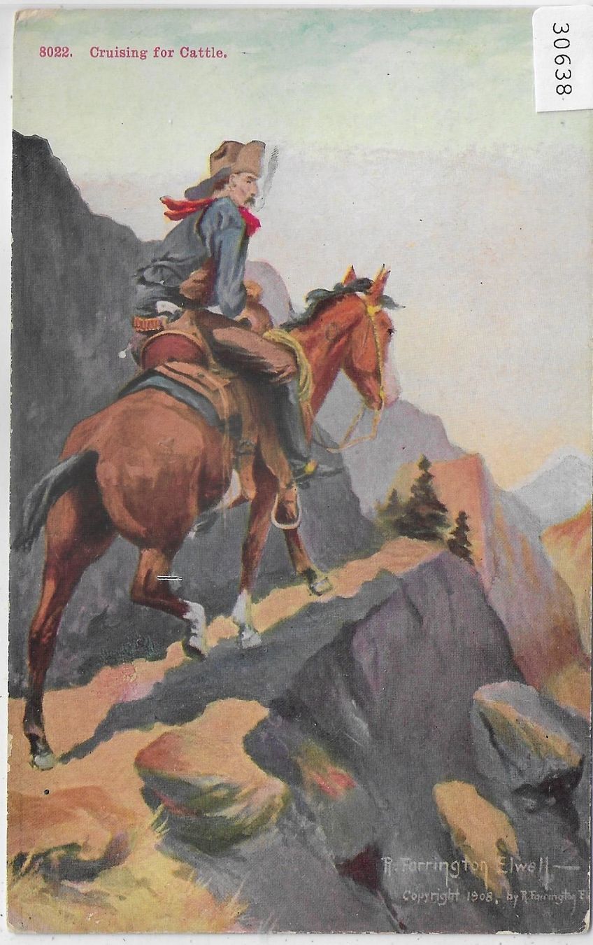 Cartoline postali: Pferd mit Cowboy - Cruising for Cattle – Usato da Ettingen venduto da Kartenplanet