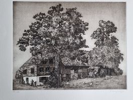LANGENEGGER LILLY RADIERUNG SIGNIERT NUMMERIERT