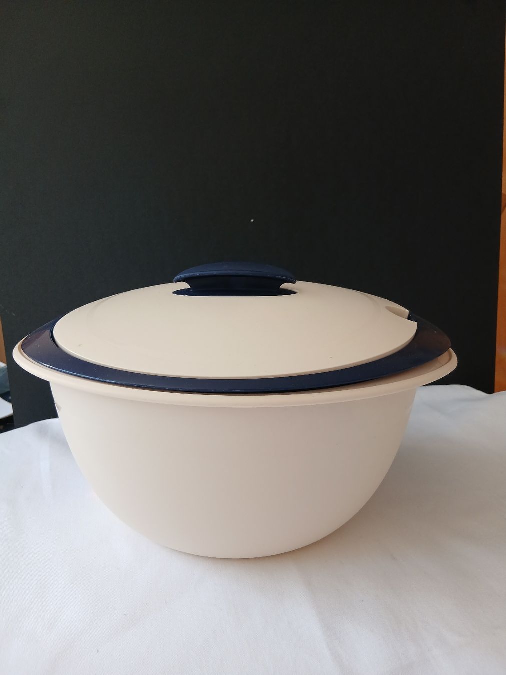 Tupperware Contenitori & Simili: Thermo-Duo 4,3 Liter von Tupperware – Usato da Basel venduto da lex_jd5s