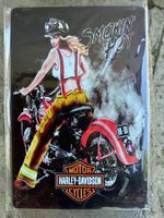 Motor Harley Davidson pin up hot