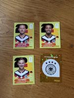 Panini 2026 4er Set GER