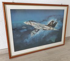 F-14 Tomcat Terrance J.Ryan  65 x 48 cm   the cats night out