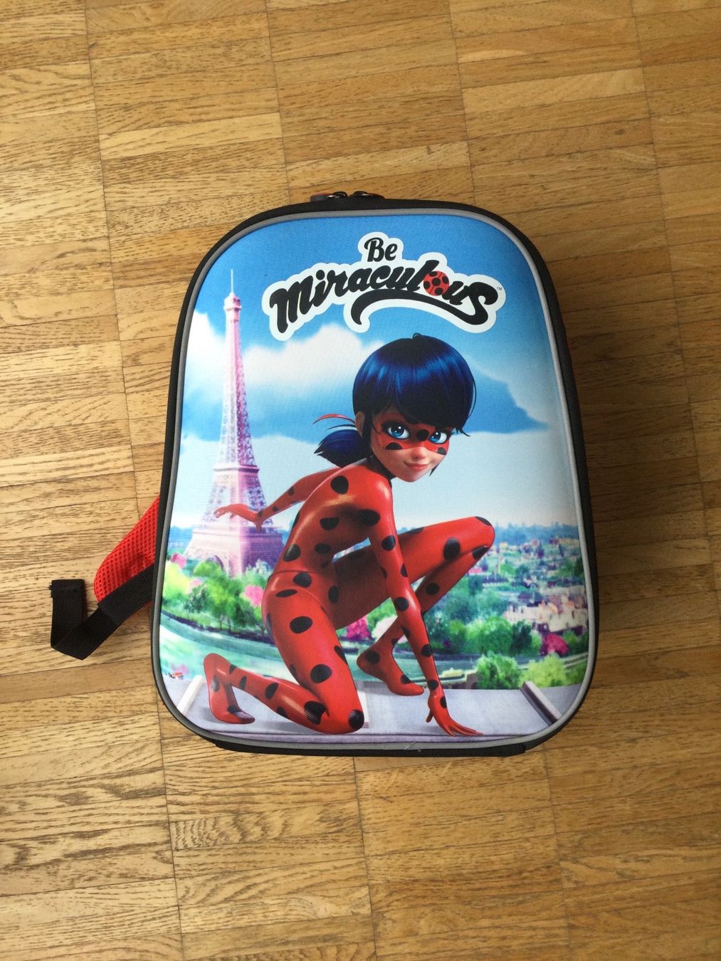 Zaini: LadyBug Rucksack – Usato da Zürich venduto da ShadowVorlon