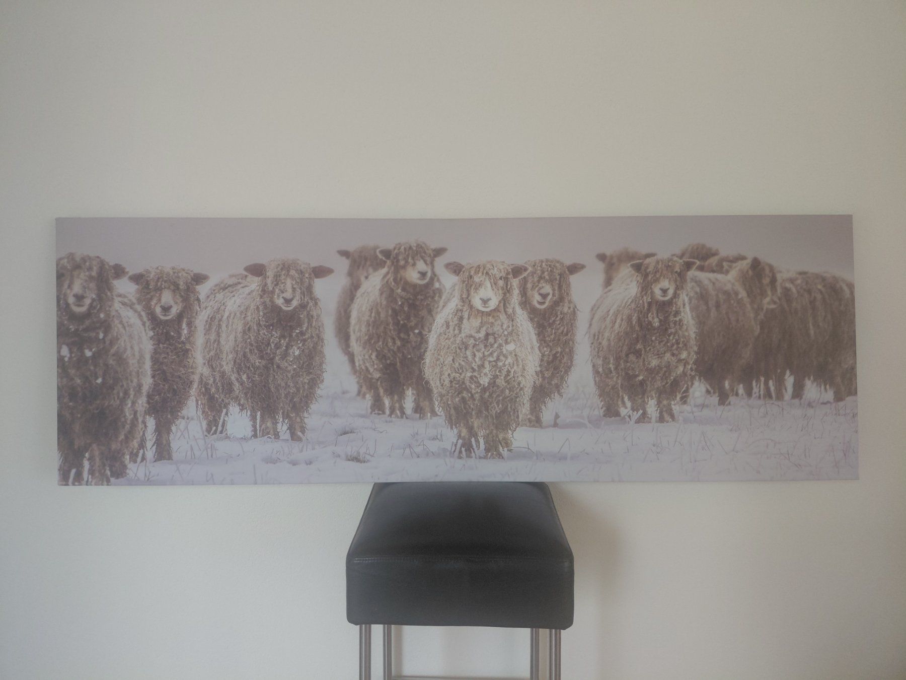 Poster & Bilder: Leinwand Druck einer Schafherde im Winter – Gebraucht aus Ebnet von Flaetsch