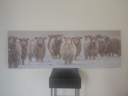 Leinwand Druck einer Schafherde im Winter