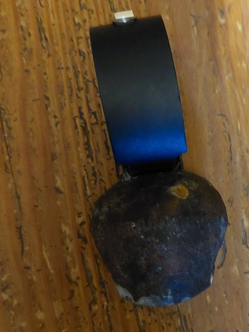 Glocken & Treicheln: Glocke "Kandersteg" mit Edelweiss Lederband – Gebraucht aus Otelfingen von silver-moon 1