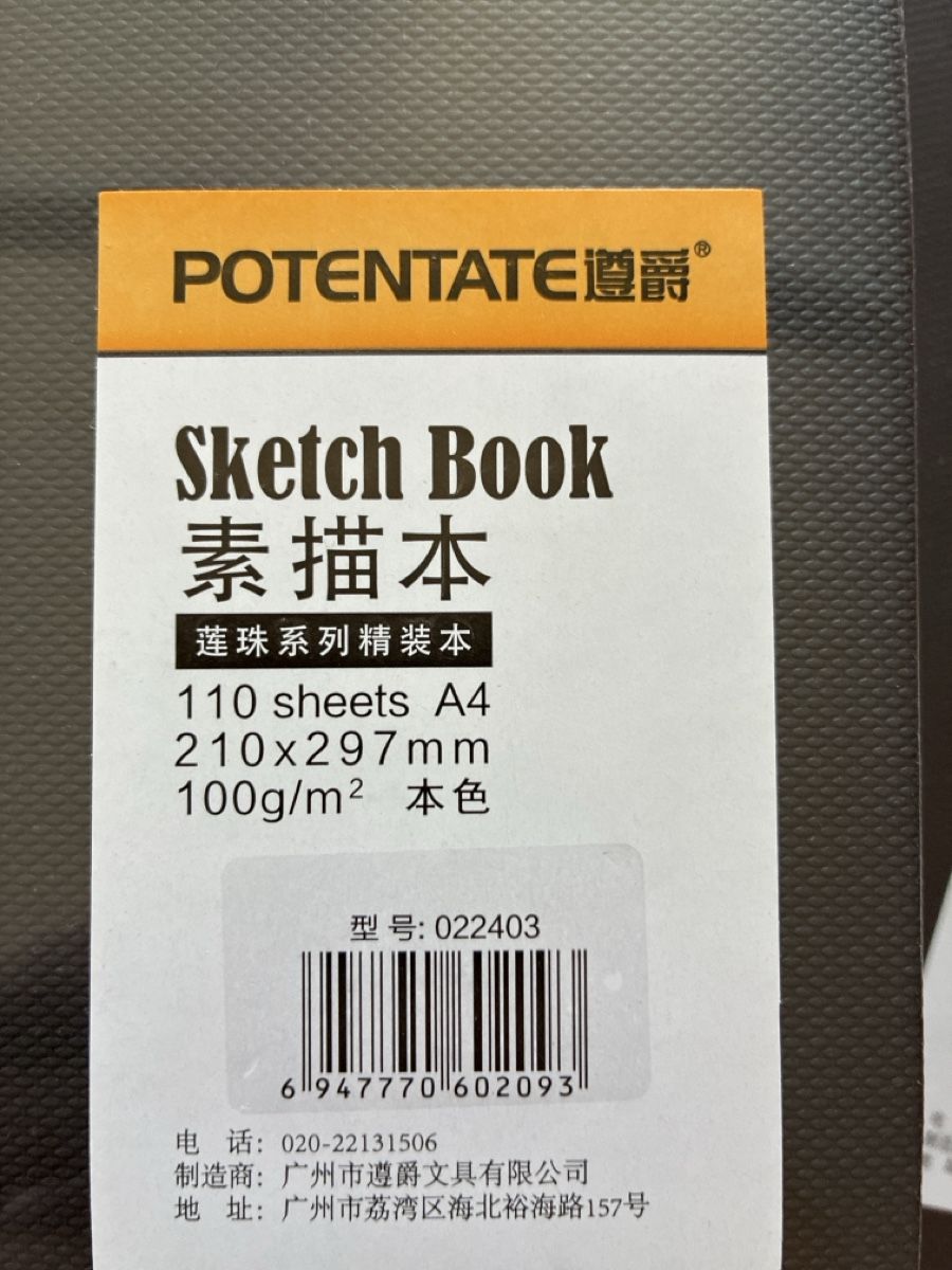 Blocchi: A4 Sketchbooks (x2) 110 Sheets - New – Nuovo e nell'imballaggio originale da Luzern venduto da ASA_DES 1