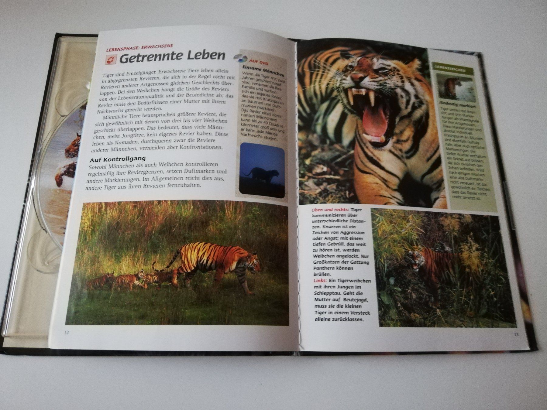Tutti i DVDs: DVD Tiger der Sümpfe – Nuovo (secondo la descrizione) da Starrkirch-Wil venduto da Mambostar 3